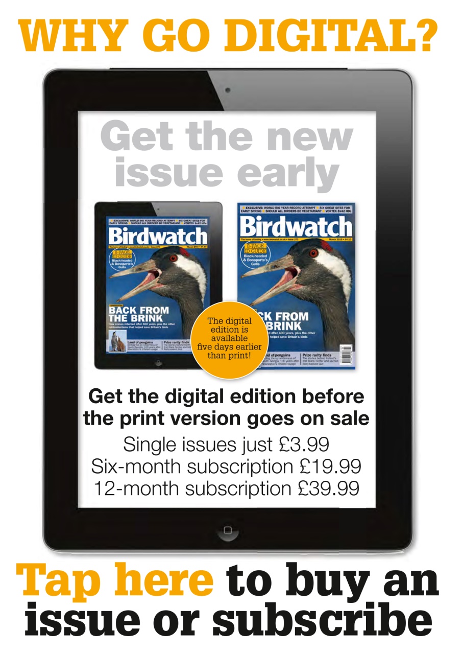 Birdwatch Magazine Preview Pages