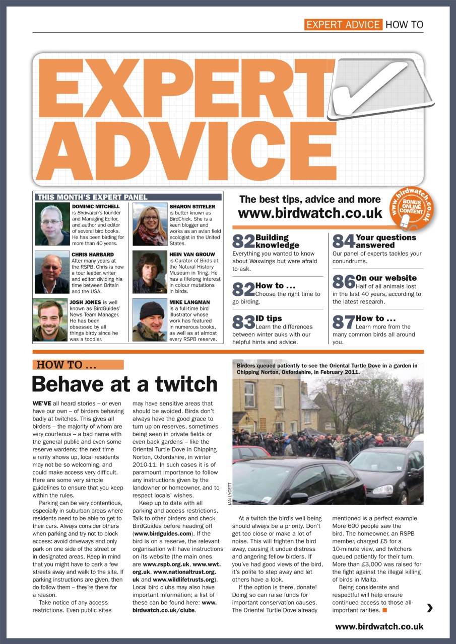 Birdwatch Magazine Preview Pages