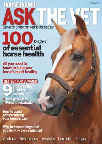 Ask The Vet issue Ask The Vet