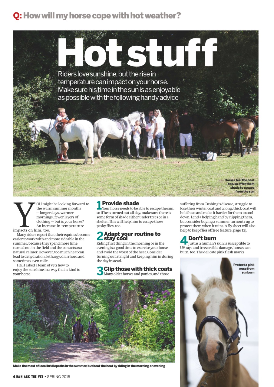 Horse & Hound Preview Pages