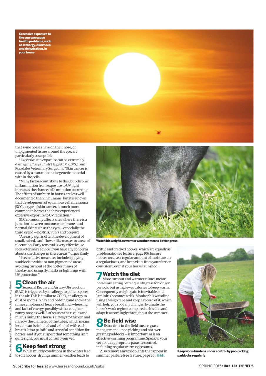 Horse & Hound Preview Pages