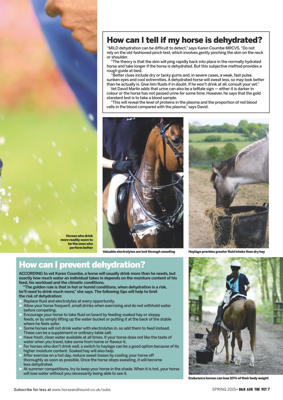 Horse & Hound Preview Pages