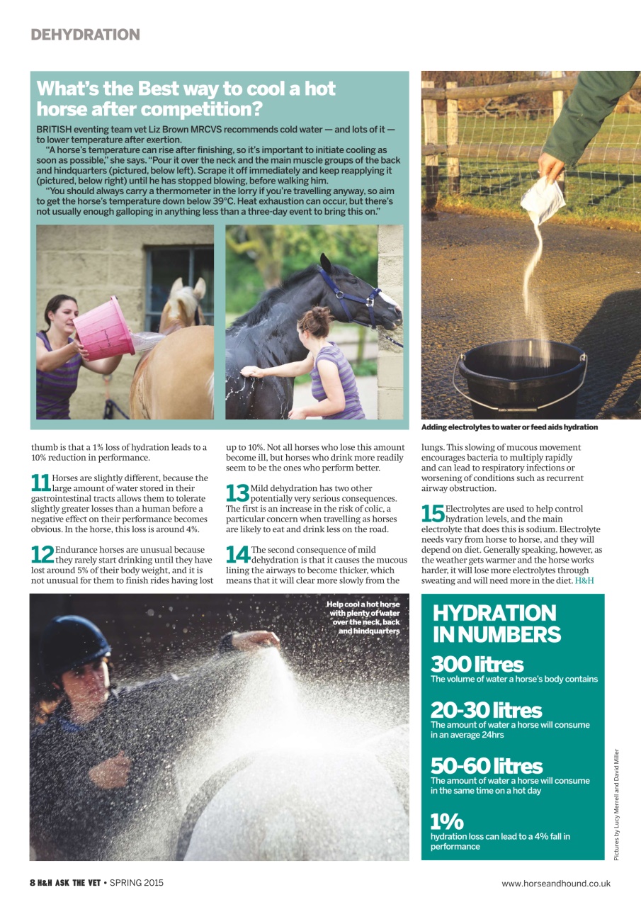 Horse & Hound Preview Pages