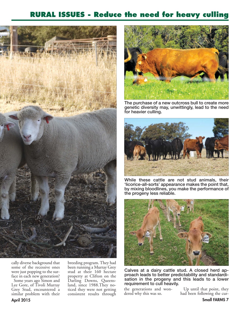 Small Farms Preview Pages