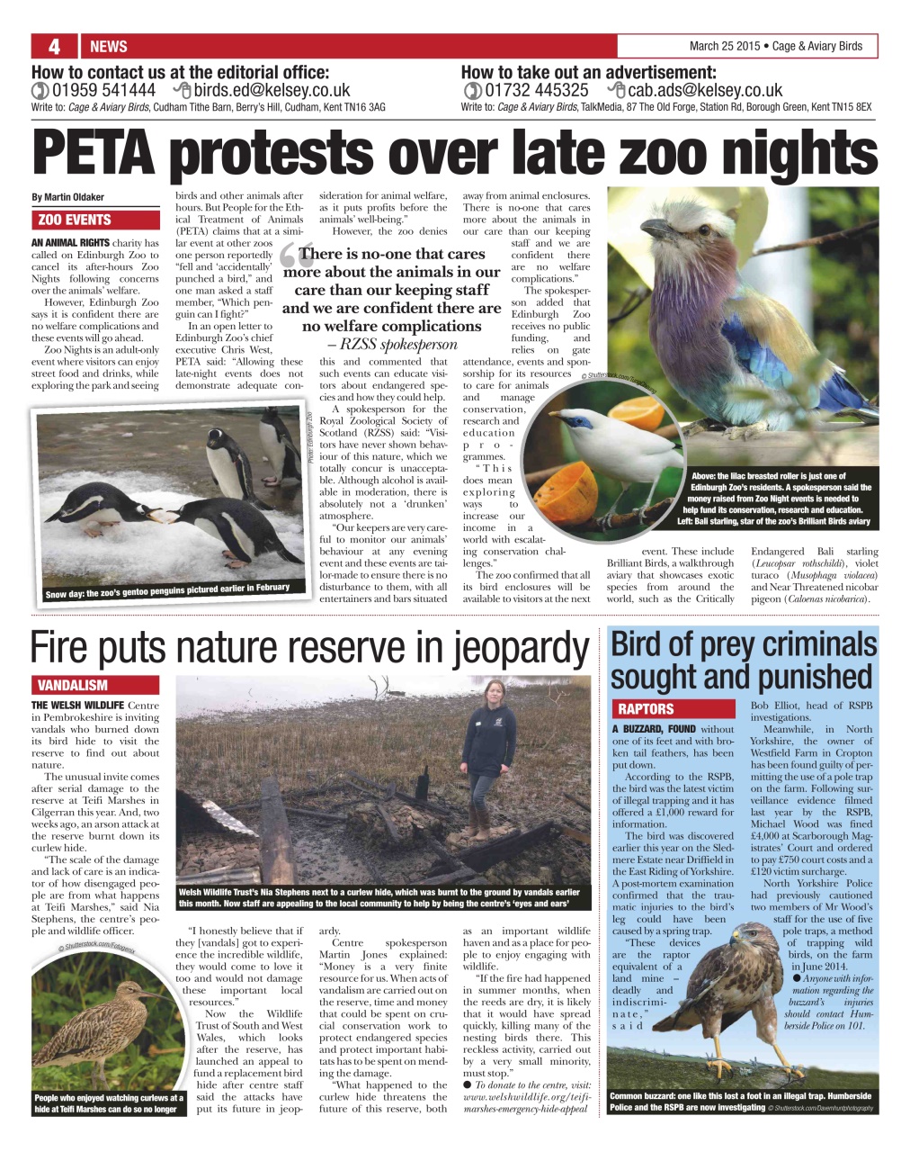 Cage & Aviary Birds Preview Pages