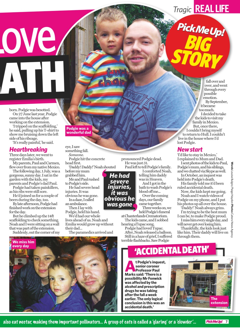 Pick Me Up Preview Pages