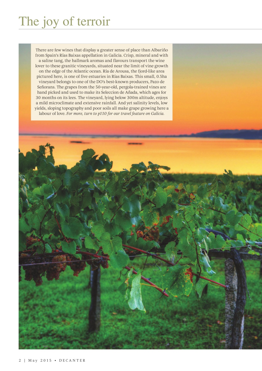 Decanter Preview Pages