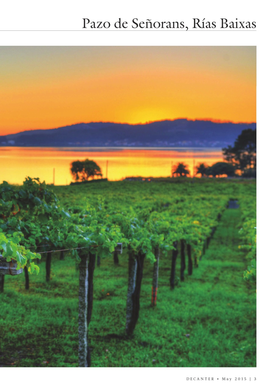 Decanter Preview Pages