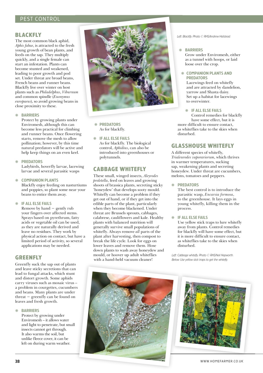 Home Farmer Magazine Preview Pages