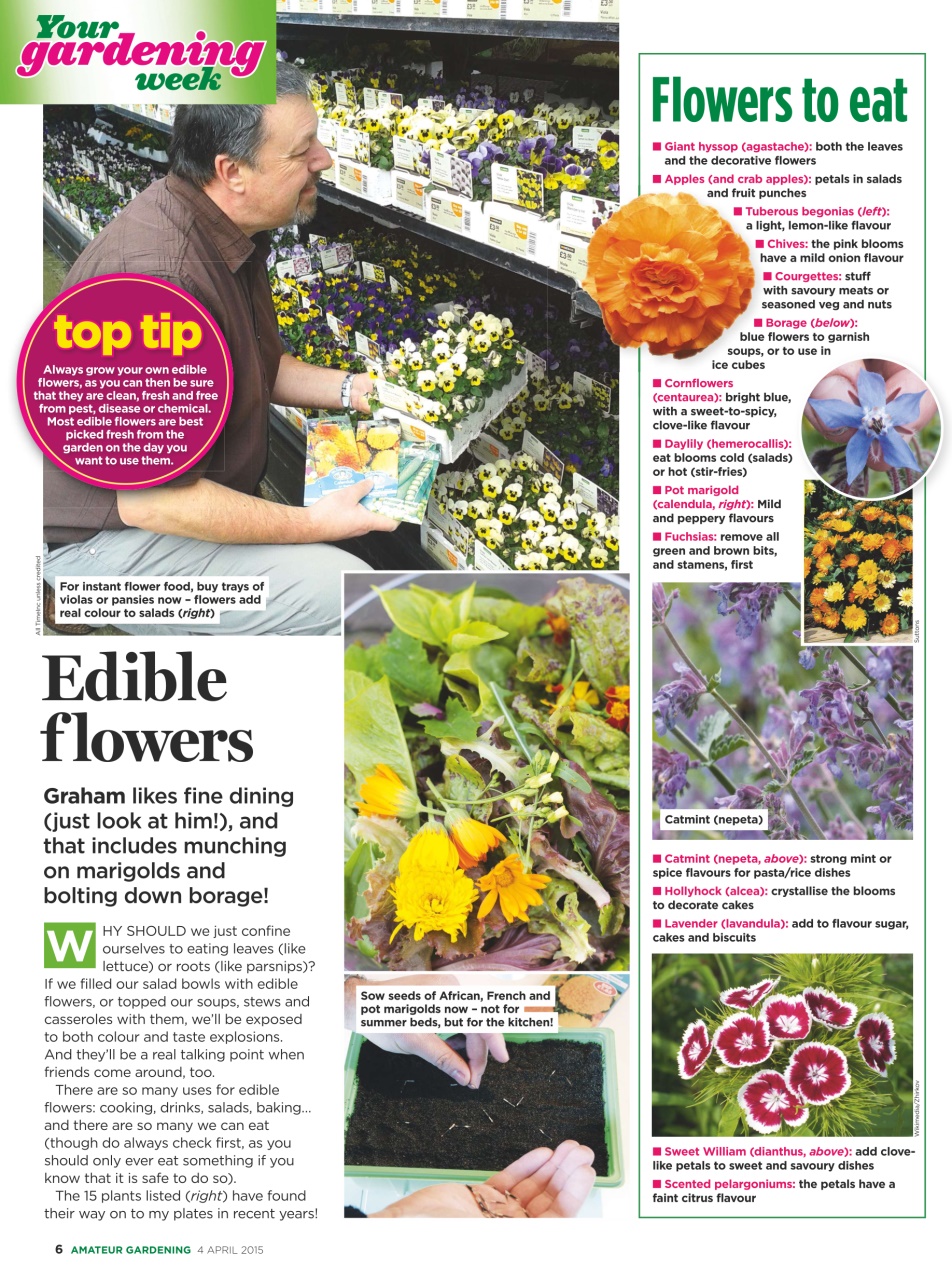 Amateur Gardening Preview Pages