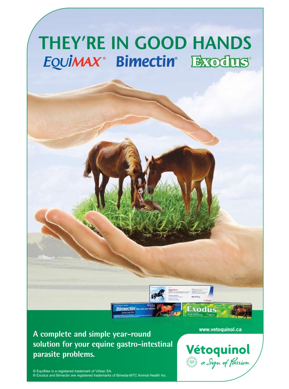 Western Horse Review Preview Pages