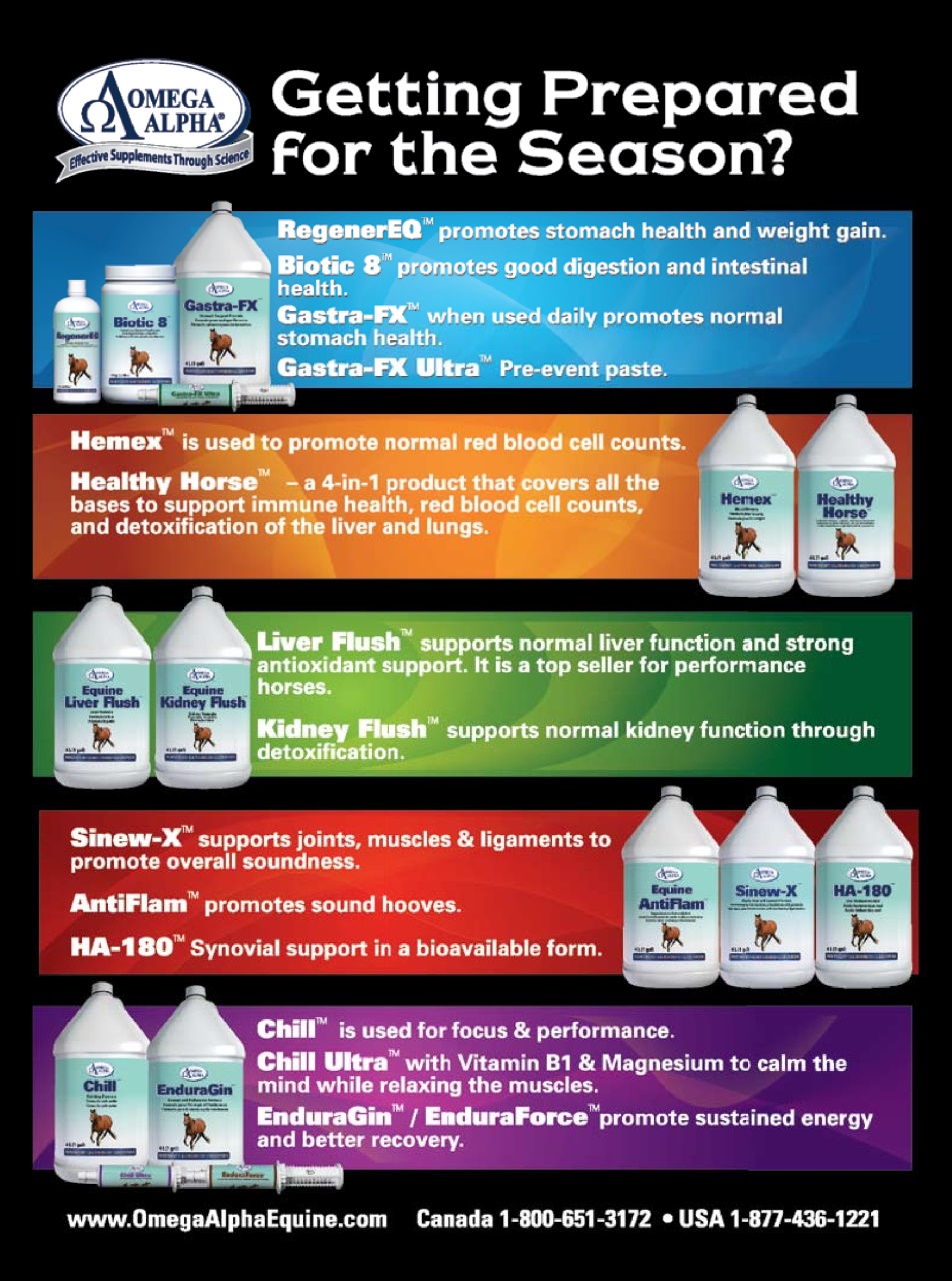 Western Horse Review Preview Pages