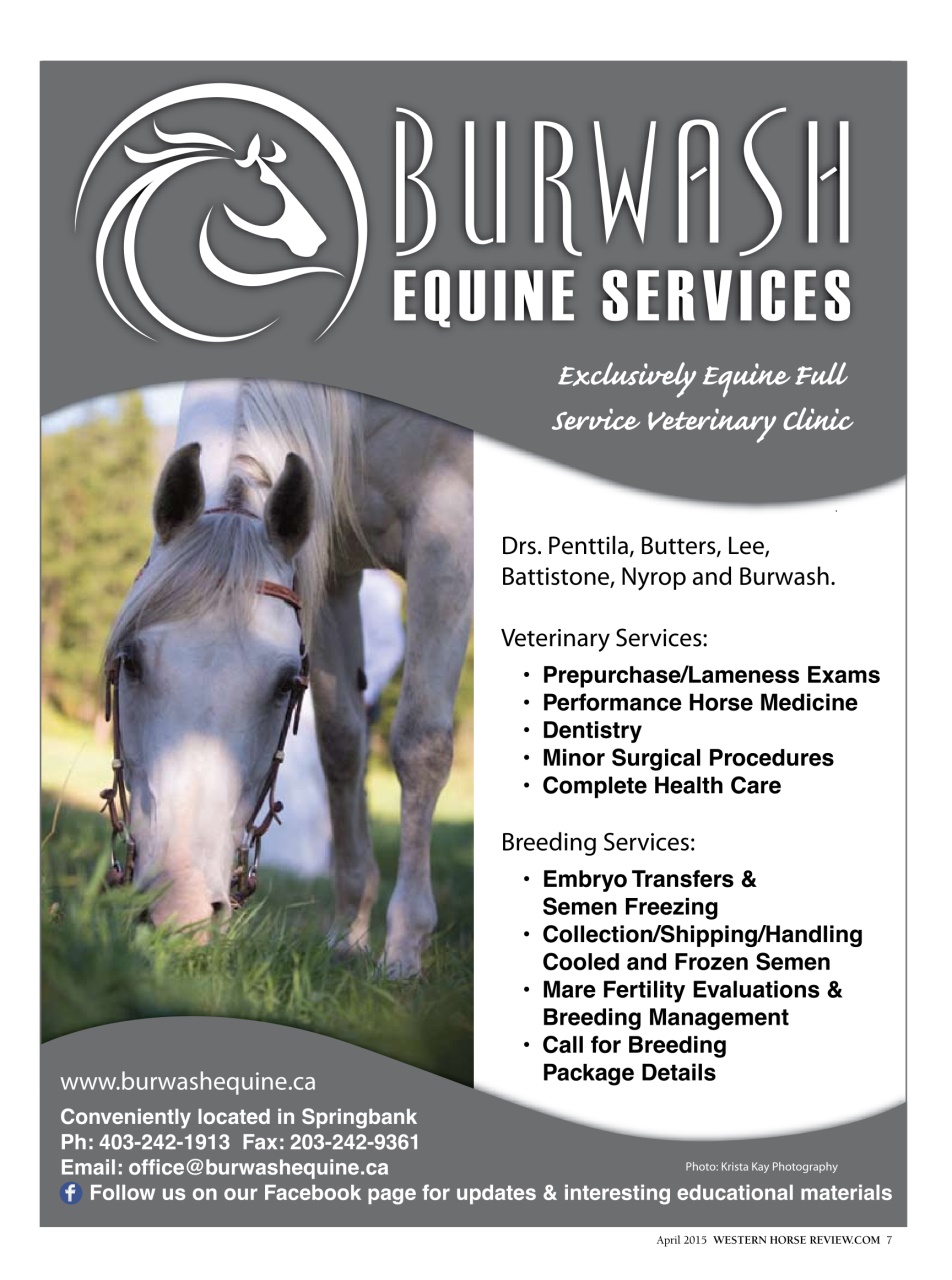 Western Horse Review Preview Pages