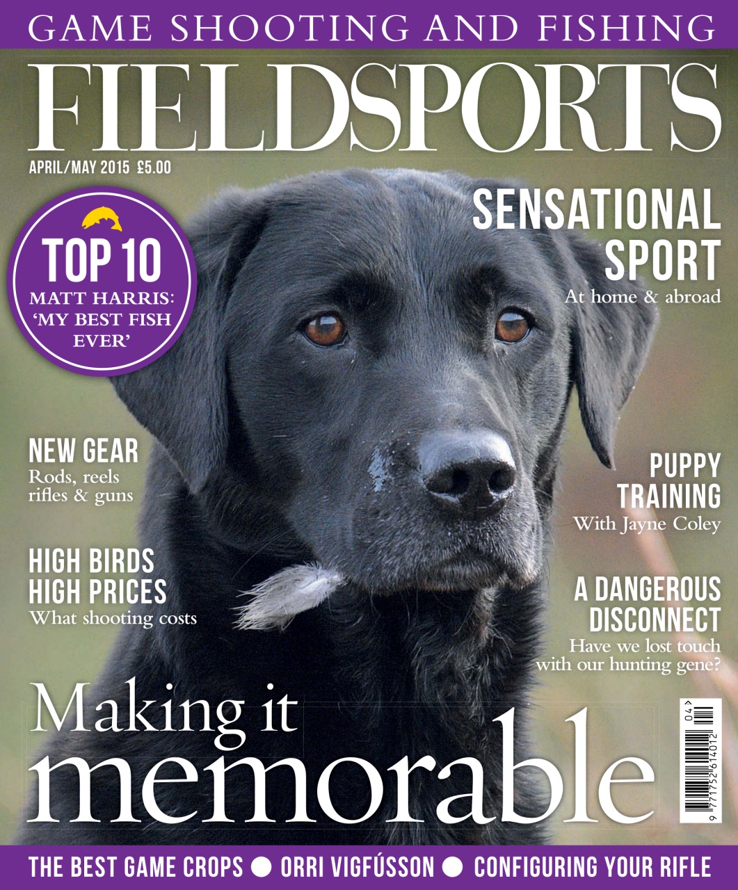 Fieldsports Journal Preview Pages