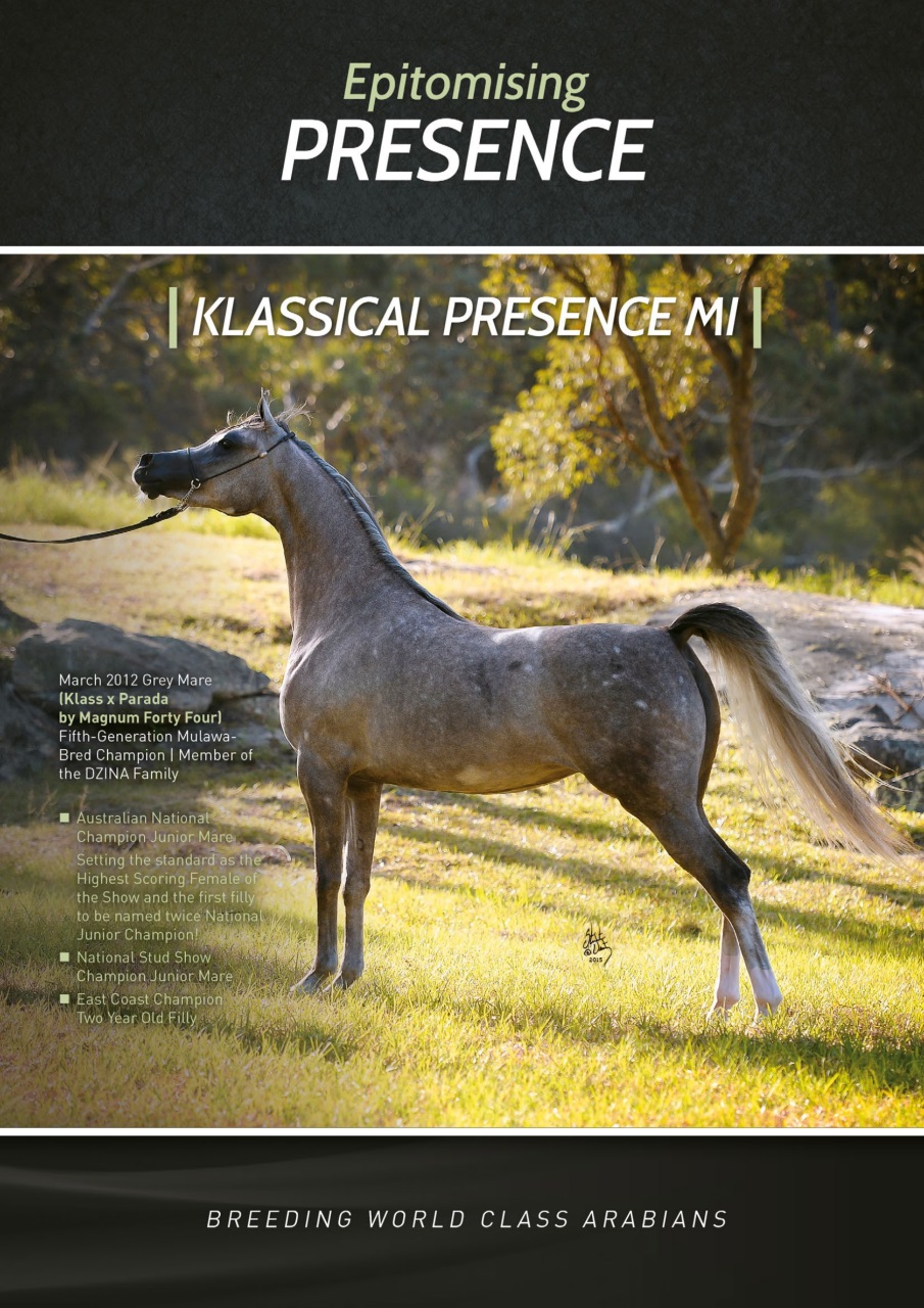 Australian Arabian Horse News Preview Pages
