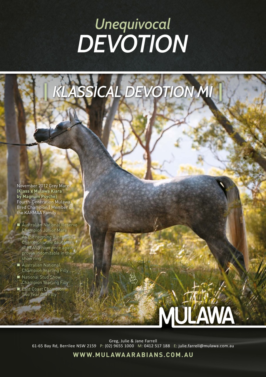 Australian Arabian Horse News Preview Pages