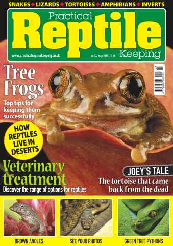 Practical Reptile Keeping issue No.74 Tree Frogs