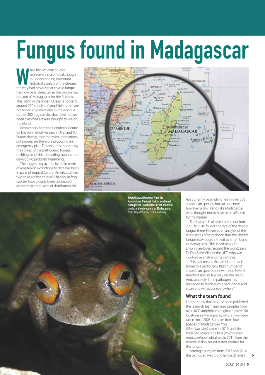 Practical Reptile Keeping Preview Pages