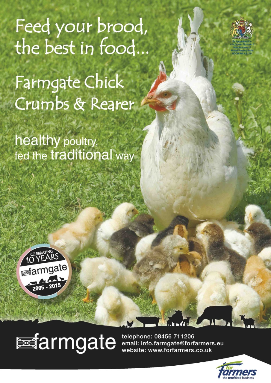 Practical Poultry Preview Pages