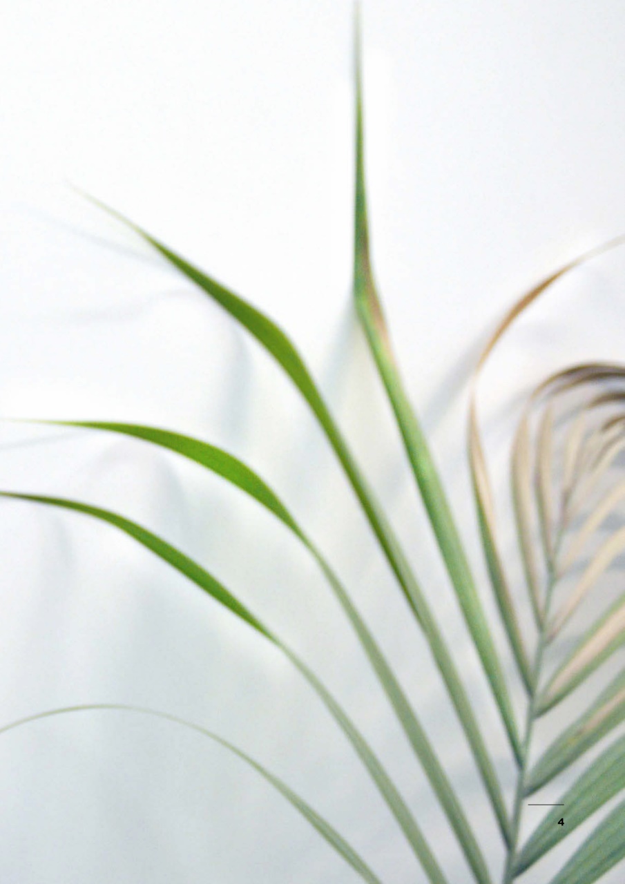 After Nyne Magazine Preview Pages