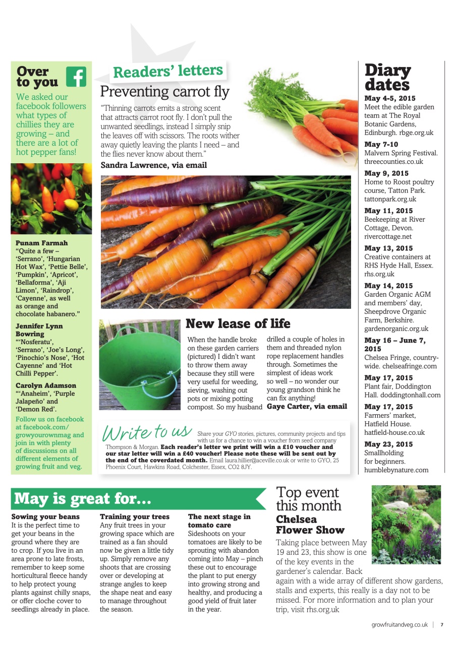 Grow Your Own Preview Pages