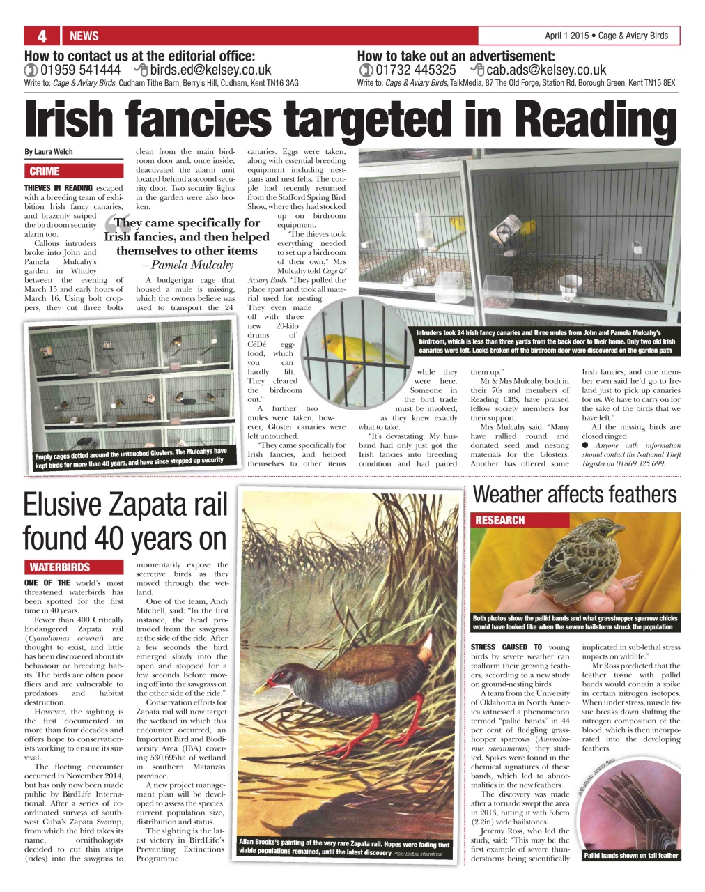 Cage & Aviary Birds Preview Pages