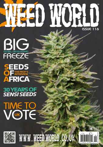 Weed World issue WW 116