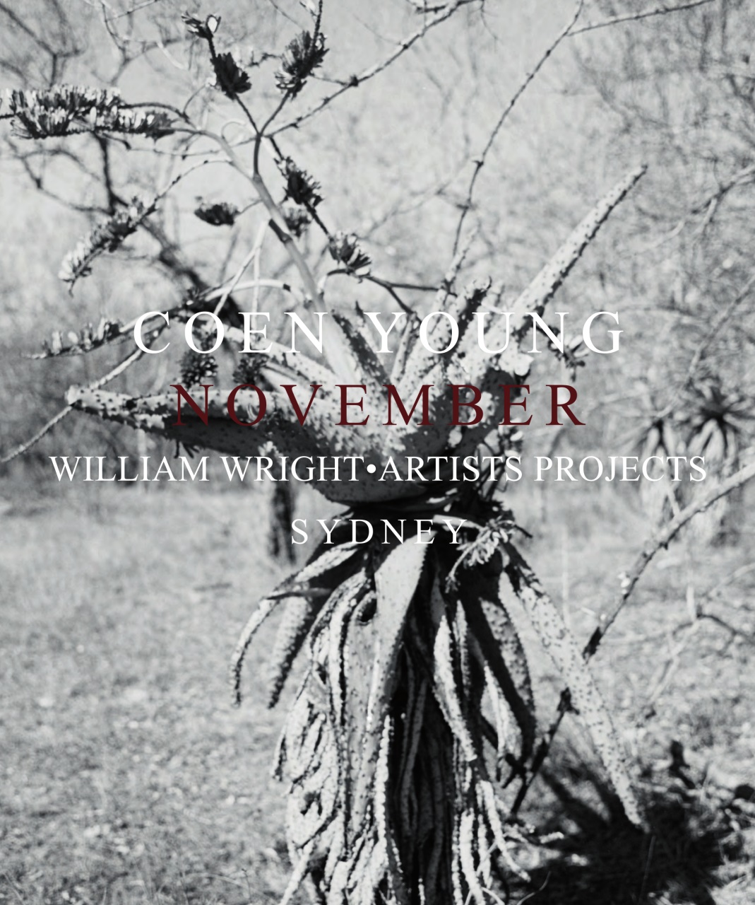 Art Collector Preview Pages