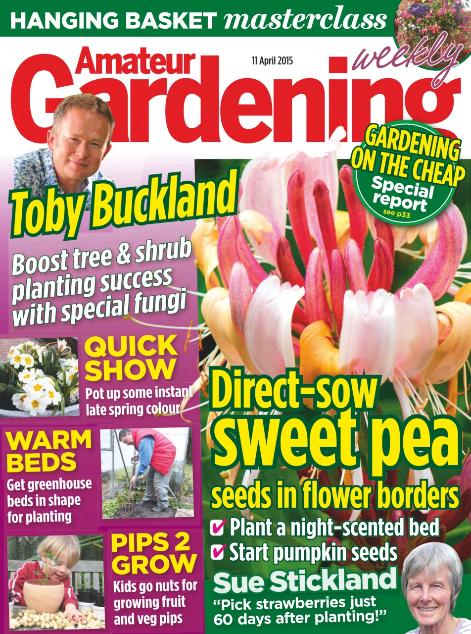 Amateur Gardening Preview Pages