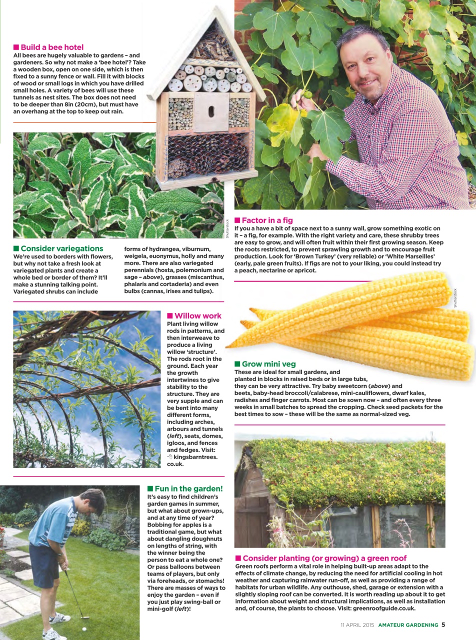 Amateur Gardening Preview Pages