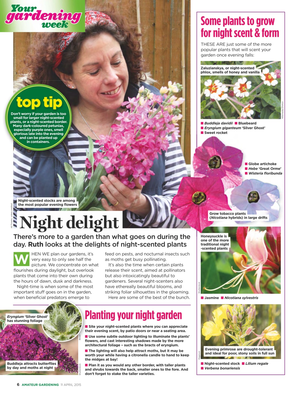 Amateur Gardening Preview Pages