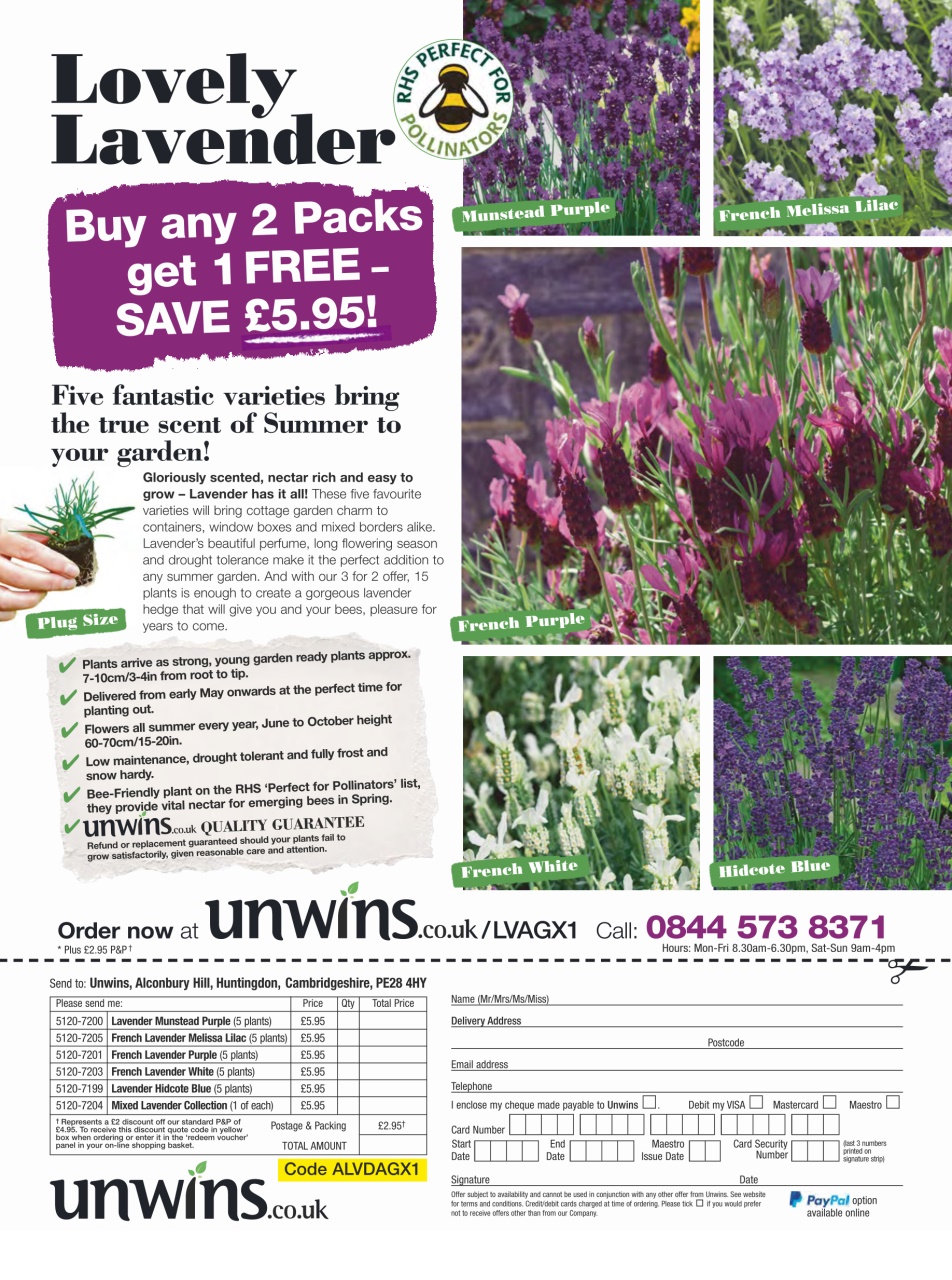 Amateur Gardening Preview Pages