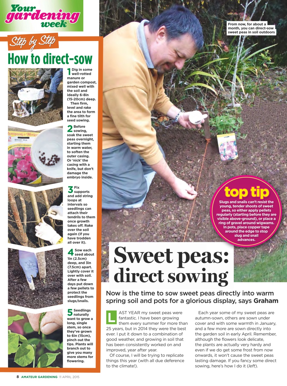 Amateur Gardening Preview Pages