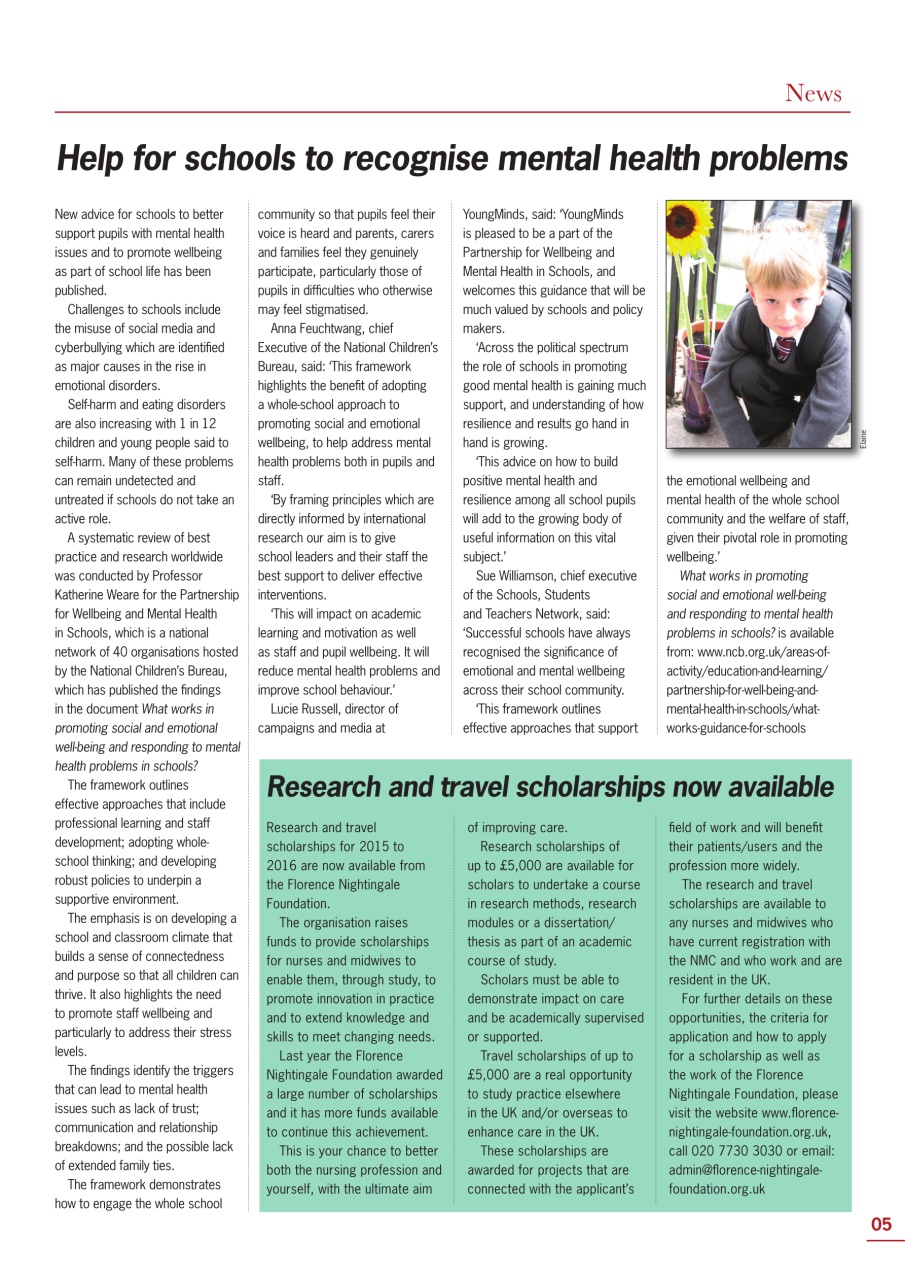 Mental Health Nursing Preview Pages