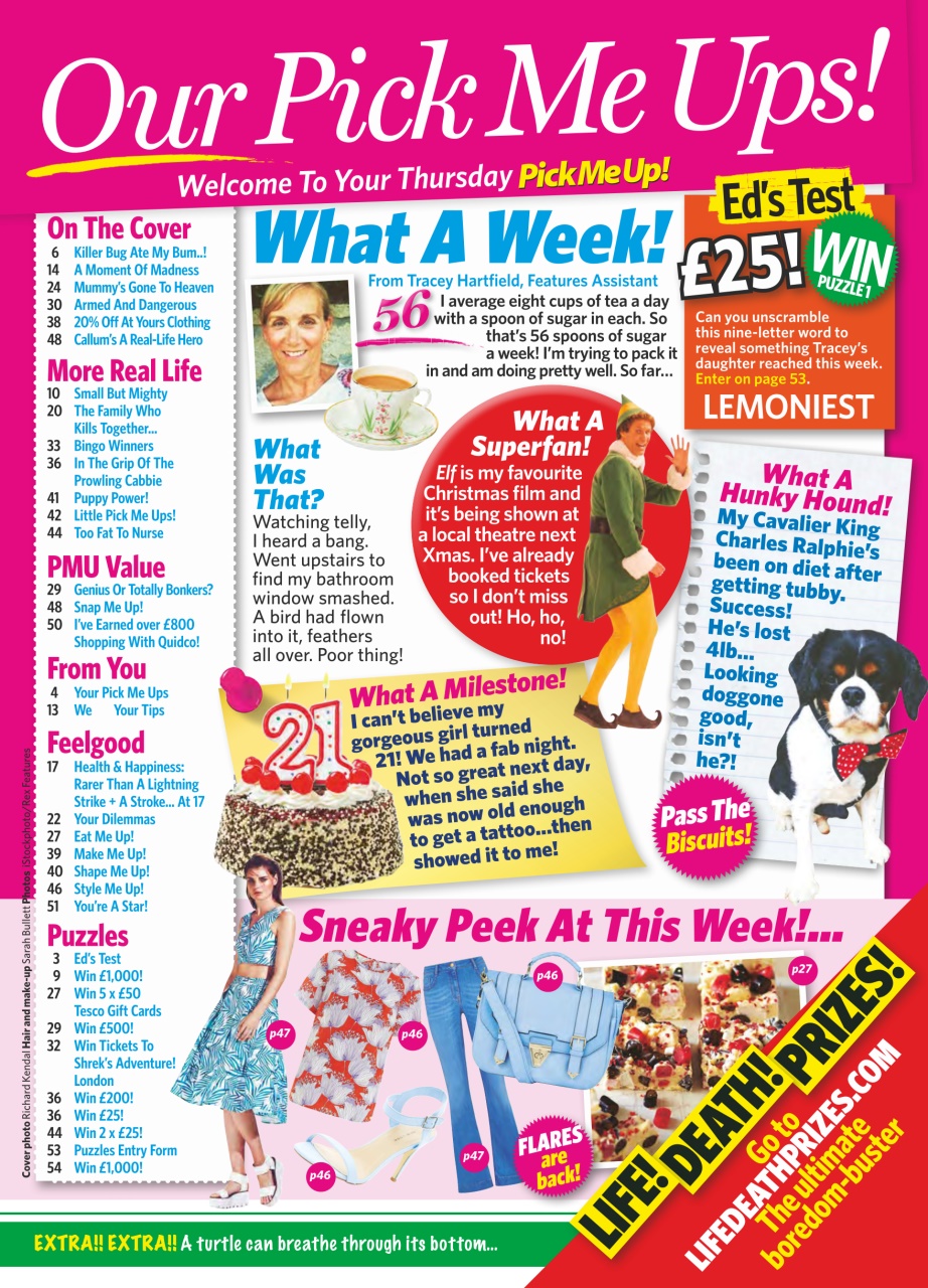 Pick Me Up Preview Pages