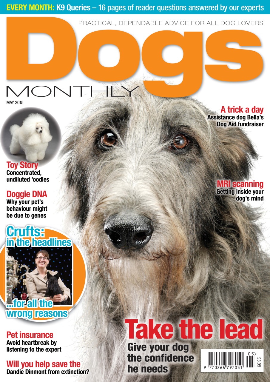 Dogs Monthly Preview Pages