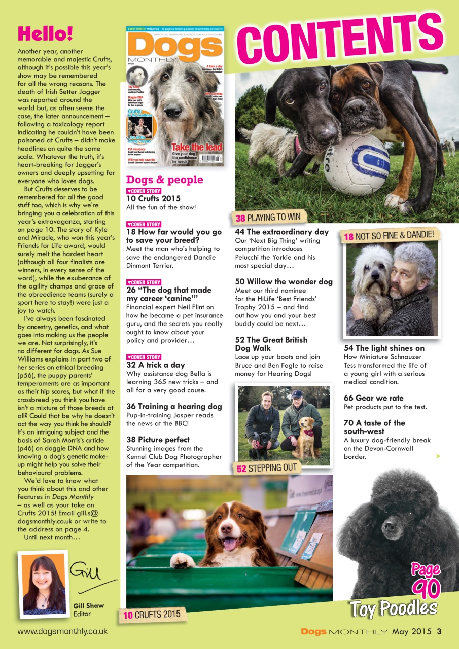 Dogs Monthly Preview Pages