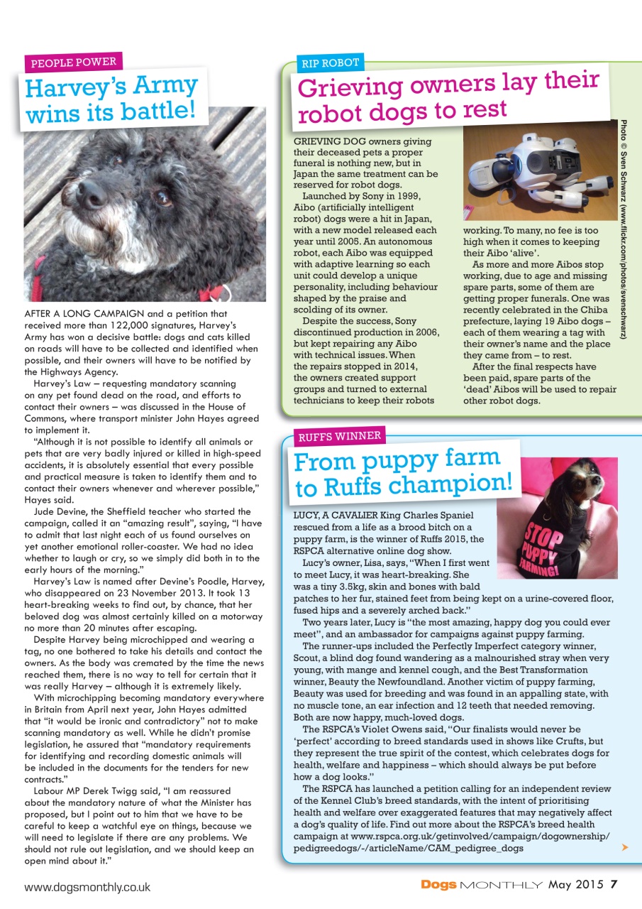 Dogs Monthly Preview Pages