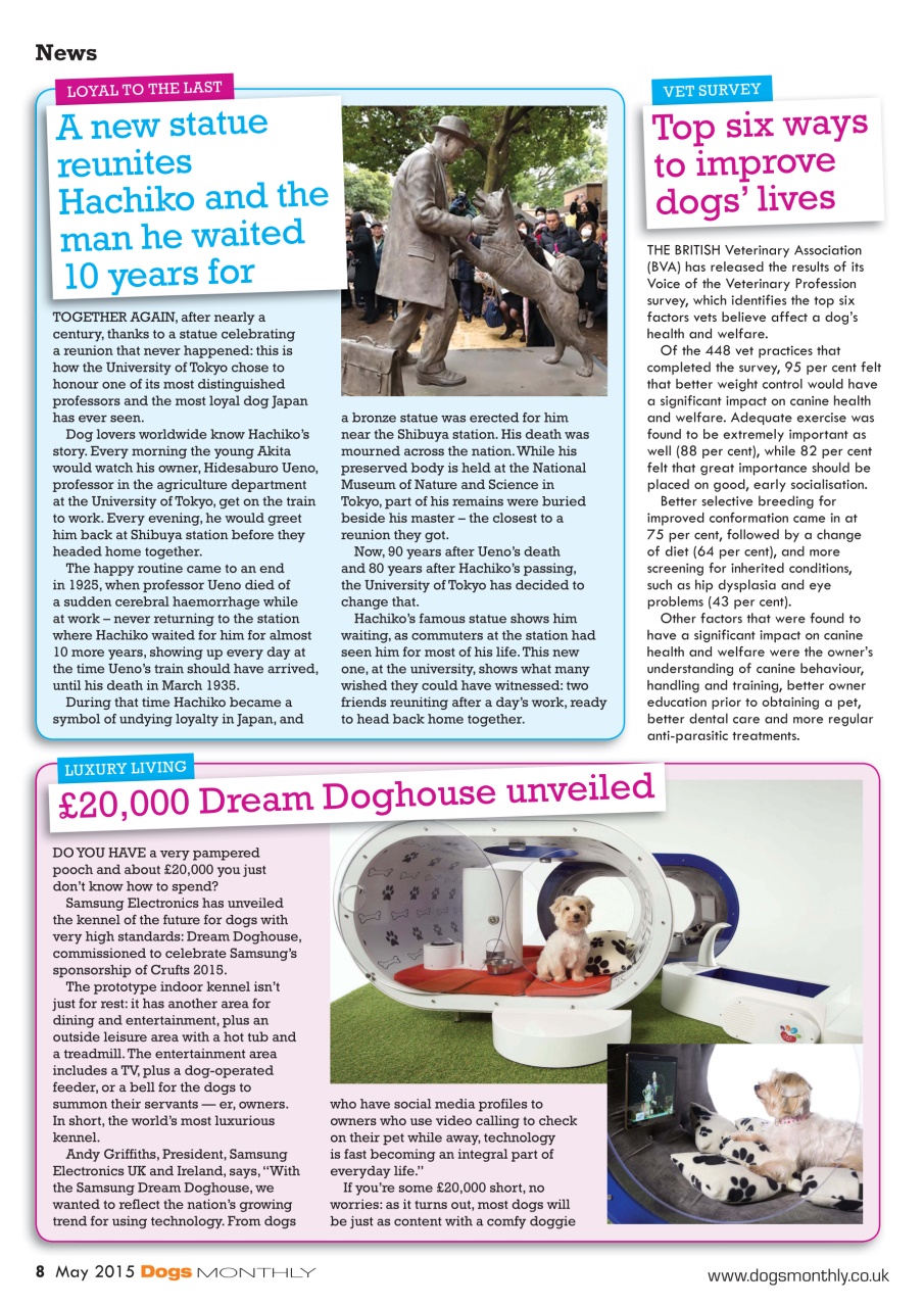 Dogs Monthly Preview Pages