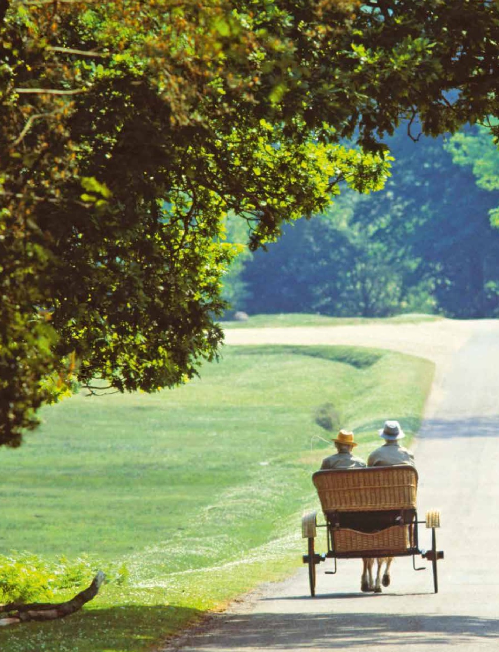 Britain Preview Pages