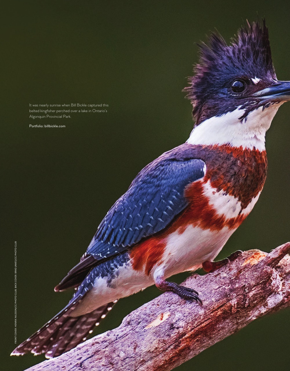 Canadian Geographic Preview Pages