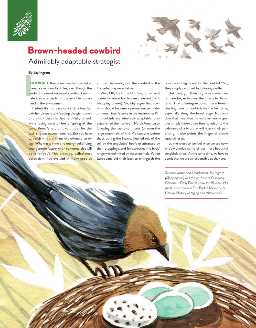 Canadian Geographic Preview Pages