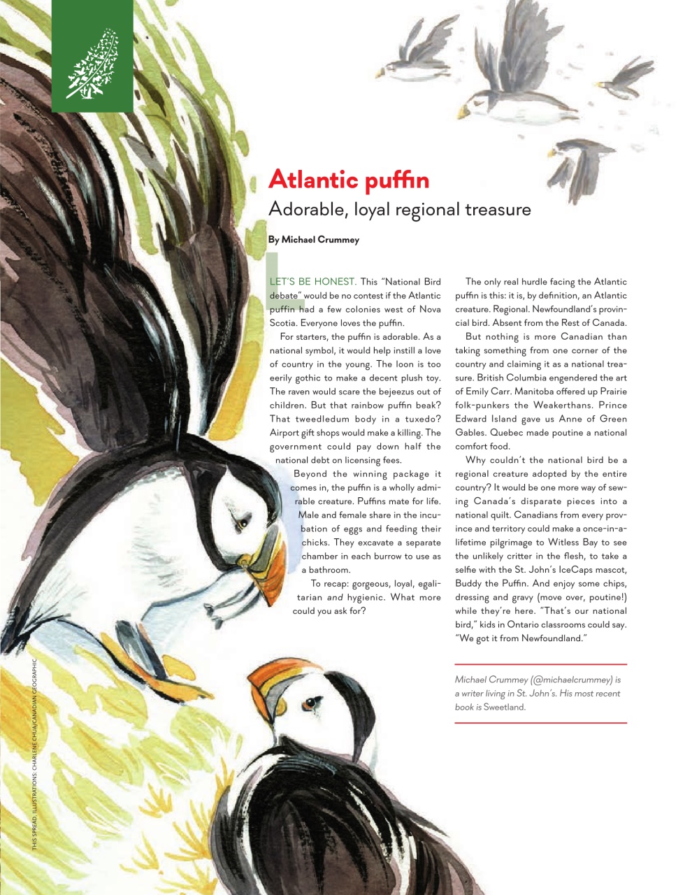 Canadian Geographic Preview Pages