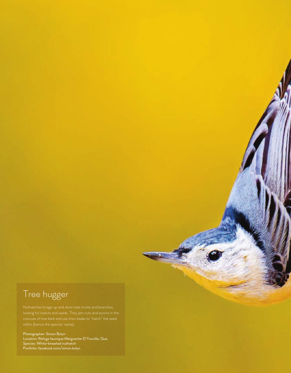 Canadian Geographic Preview Pages