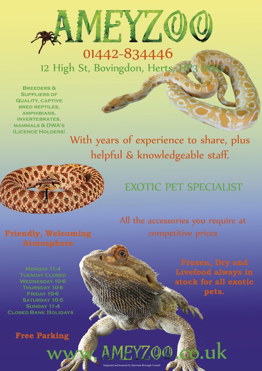 Practical Reptile Keeping Preview Pages