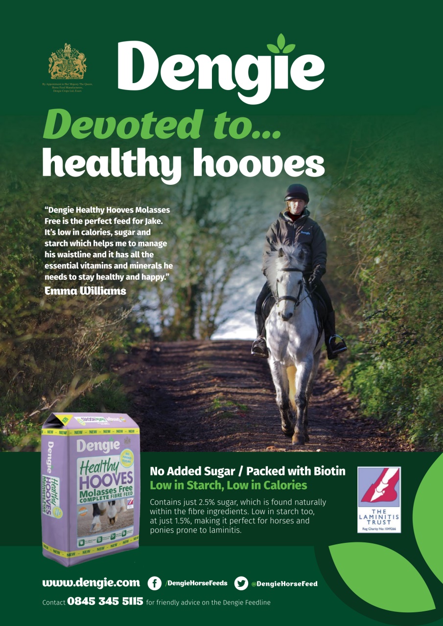 Horse&Rider Magazine - UK equestrian magazine for Horse and Rider Preview Pages