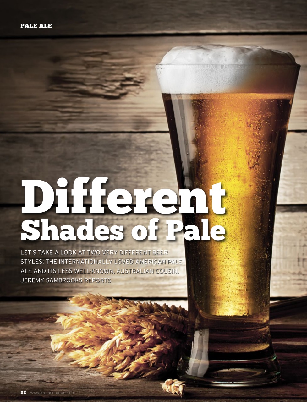 Beer and Brewer Preview Pages