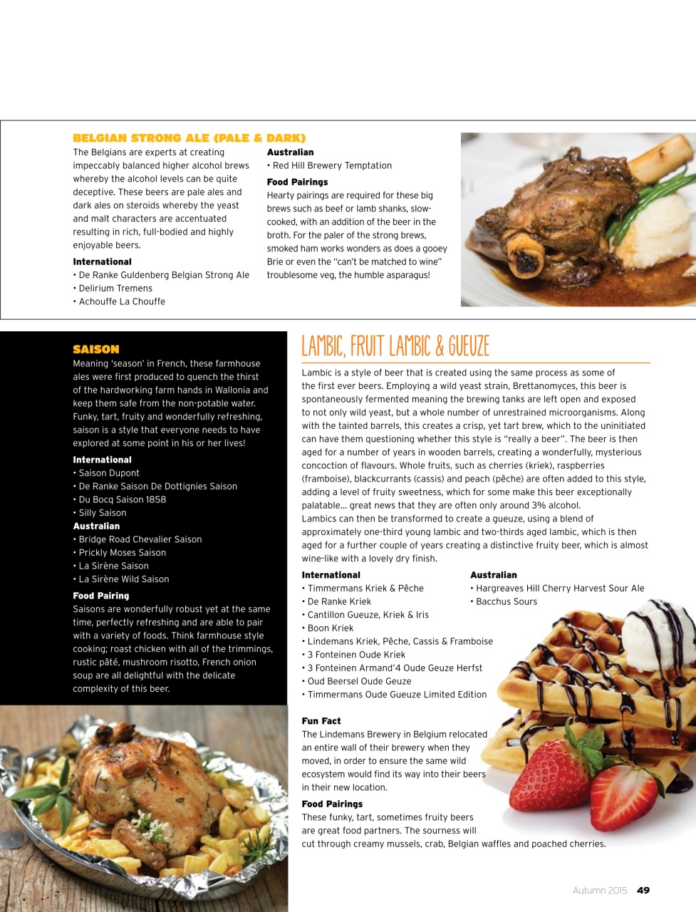 Beer and Brewer Preview Pages