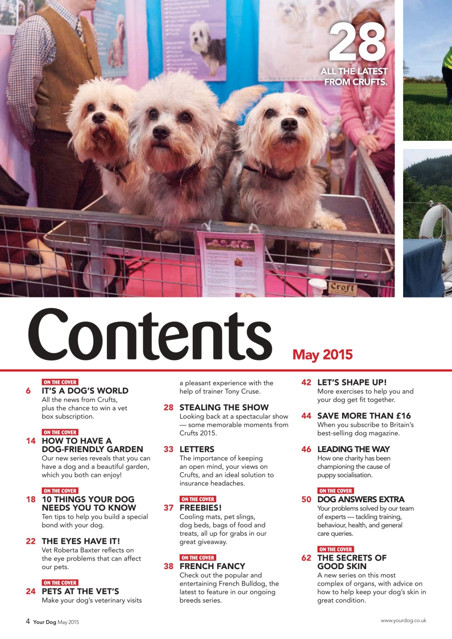 Your Dog Preview Pages