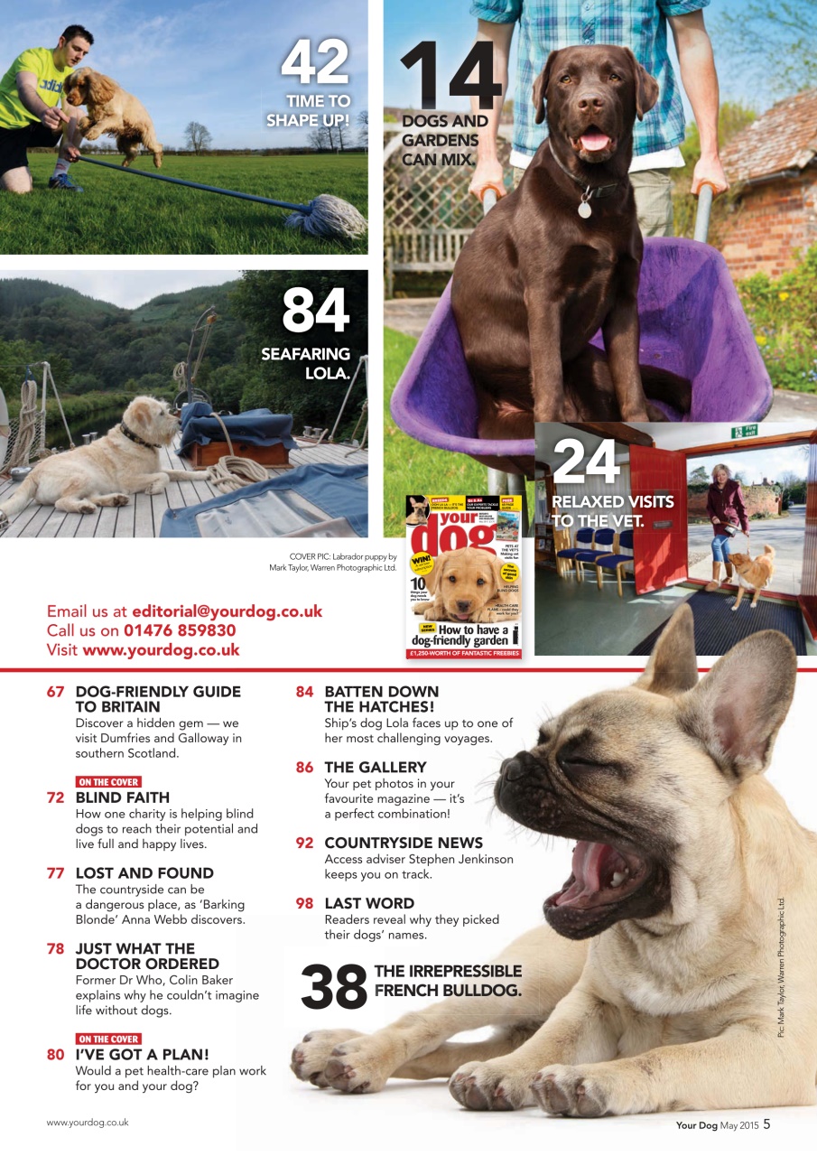 Your Dog Preview Pages